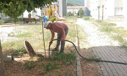 Şaphane'de çevre düzenleme çalışmaları sürüyor