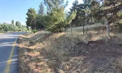 Mahalle muhtarından yol kenarlarındaki kurumuş otlar için 'yangın' uyarısı