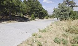 Kütahya’da Manzara Keyfi Kabusa Döndü! Şahintepesi’nde Mahalleliyi Korkutan Görüntü
