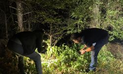 Kütahya’da Ormanlık Alanda Silahlı Dehşet! 24 Yaşındaki Genç Bacağından Vuruldu
