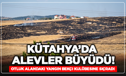Kütahya'da Alevler Büyüdü! Otluk alandaki yangın bekçi kulübesine sıçradı