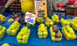 Kütahya’da İncirin Fiyatı El Yakıyor! Kilosu 120 TL’ye Ulaştı