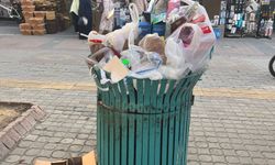 Kütahya’nın Vitrini Çöplere Teslim! Sevgi Yolu’nda Tepki Çeken Görüntü