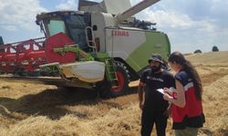 Emet'te biçerdöver hasat kontrolü mesaisi sürüyor