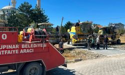 Dumlupınar'da hasat sezonu başladı