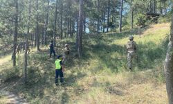 Kütahya'da yangın riskine karşı ekipler sahaya indi