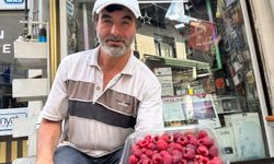 Tavşanlı'da üretici 900 metrelik hat kurdu: Kıraç topraklardan süper meyveyi çıkardı
