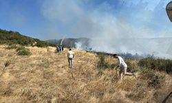 Kütahya'da dağlık alanda korkutan yangın: Ekipler seferber oldu