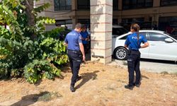 Kütahya'da tüyler ürperten olay: Esnafın kedisi bacakları kesilmiş halde bulundu