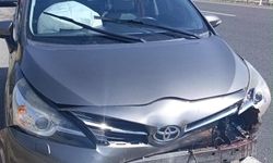 Koyun aniden yola çıktı, trafik karıştı: 1 yaralı