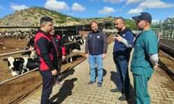 Kütahya İl Tarım ve Orman Müdürü Keleş, Büyükbaş Hayvancılık İşletmesini ziyaret etti
