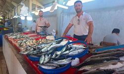 Kütahya'da palamut bereketi: Kilosu 80 - 100 TL'den kapışılıyor