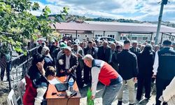 Pazarlar'da kiraz ve vişne üreticilerine yüzde 50 hibeli bordo bulamacı desteği