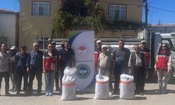 Kütahya'da organik tarıma dev destek: Üretime yeni çeşitler katılıyor