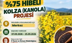 Kütahyalı üreticiler dikkat: Yüzde 75 hibeli kolza projesi başvuruları başladı