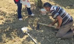 Pazarlar'da tarımda verimi artırmak için toprak analizi çalışmaları gerçekleştirildi