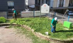 Kütahya'da istihdam müjdesi: Gençlik ve Spor İl Müdürlüğü 90 personel alacak