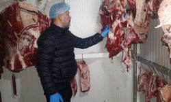 Kütahya’da Et Alarmı! Belediye Ekipleri Sahaya İndi