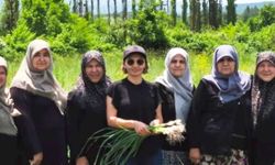 Kütahya’nın yerel lezzeti tescil yolunda: Çamlıca Sarımsağına bilimsel inceleme