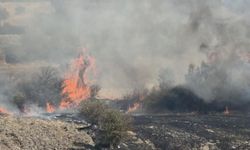 Kütahya’da Korkutan Yangın! Alevler Rüzgârla Büyüdü