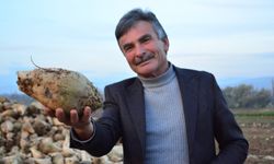 Pancar üreticisinden dikkat çeken çıkış: “Kazanmıyorum diyen çiftçiler yalan söylüyor”