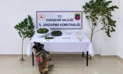 Eskişehir'de uyuşturucu operasyonu: 1 tutuklama