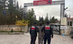 Jandarma aranan 42 kişiyi yakaladı