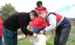 Kütahya'da  Vakıflar Bölge Müdürlüğü'nden sahipsiz hayvanlara anlamlı destek