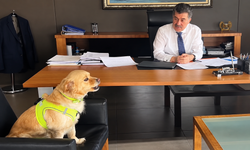 Bakan Yardımcısı Cantimur’un Gündemi Değişti! Bu Kez Randevu İsteyen Kuki Oldu