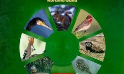 Yaban hayatının eşsiz görüntüleri Kütahya'da: Fotoğraf sergisinin tarihi açıklandı