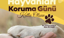 Kütahya’da 4 Ekim Dünya Hayvanları Koruma Günü'nde farkındalık mesajları