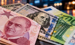 Döviz Piyasasında Son Durum! Dolar 49,63 TL Seviyesinde