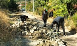 Şaphane'de temizlik ve bakım çalışmaları sürüyor