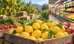 Üreticide başka, markette başka: Limonda fiyat farkı yüzde 999,2!