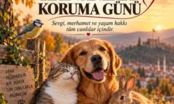 4 Ekim Dünya Hayvanları Koruma Günü’nü Kutluyoruz