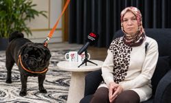 Kütahya’da emanet ettiği köpeğini arıyor: “Sokakta tek başına yaşayamaz!”