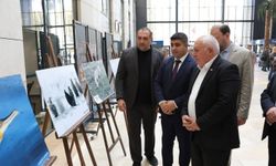 Kütahya’nın yaban hayatı fotoğraf karelerinde hayat buldu