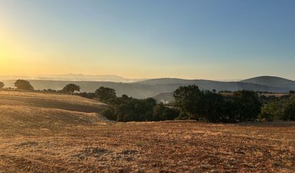 Uşak’ta Meşelik Yangını 16 Saatte Kontrol Altında