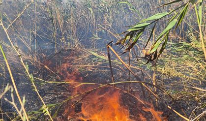 Komşu Yanıyor: Eber Gölü’nün Kamışları Küle Dönüyor