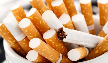 Türkiye’nin ilk "sigarasız şehri" belli oldu