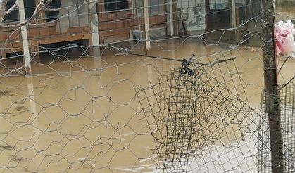 Kütahya’da üreticiler zarar gördü! Erbaş: AFAD vakit kaybetmeden sahaya inmeli
