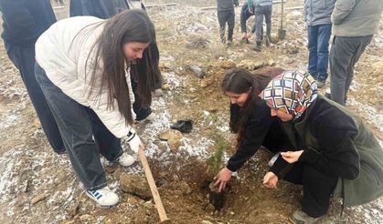 Altıntaş’ta çevre seferberliği: Öğrencilerden anlamlı fidan dikimi