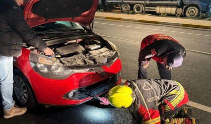 Aracın motoruna giren tilki ekiplerce kurtarıldı