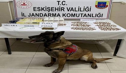 Belçika’dan Yola Çıktı, Eskişehir’de Enselendi! Zehir Tacirlerinin Afyon Planı Suya Düştü