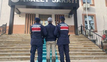 Kendisine saldıran köpeklerin sahibini vuran 17 yaşındaki şüpheli tutuklandı