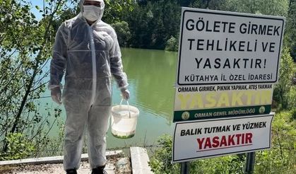 Kütahya'da haşere alarmı: Şehrin dört bir yanında çalışmalar başladı