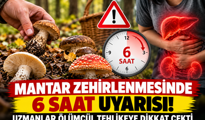 Mantar zehirlenmesinde 6 saat uyarısı! Uzmanlar ölümcül tehlikeye dikkat çekti