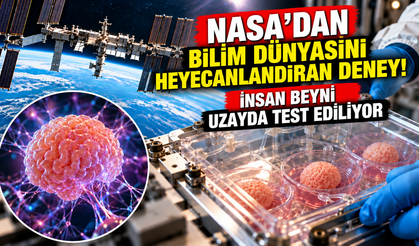 NASA'dan bilim dünyasını heyecanlandıran deney! İnsan beyni uzayda test ediliyor