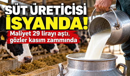 Süt üreticisi isyanda! Maliyet 29 lirayı aştı, gözler kasım zammında