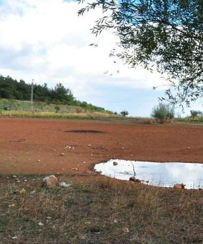 Kütahya’da çiftçilere kritik uyarı: Göllenmeye dikkat, kökler çürümesin